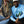 Drifter Beanie