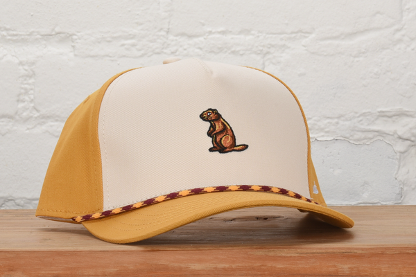 Go For It Snapback