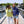 Women's Lila 1/2 Zip Sweatshirt