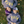 Unisex Purple Pride Hoodie - sota clothing