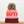 Snowbound Beanie