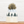 The Pines Jacquard Beanie