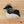 Loon Plush Toy - sota clothing