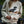 Loon Drift Women's Mockneck Sweatshirt (PRE ORDER)