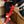 Load image into Gallery viewer, Sota Holly Socks
