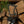 Load image into Gallery viewer, MN Carabiner
