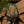 Load image into Gallery viewer, MN Carabiner
