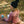 Load image into Gallery viewer, Chute Pom Beanie
